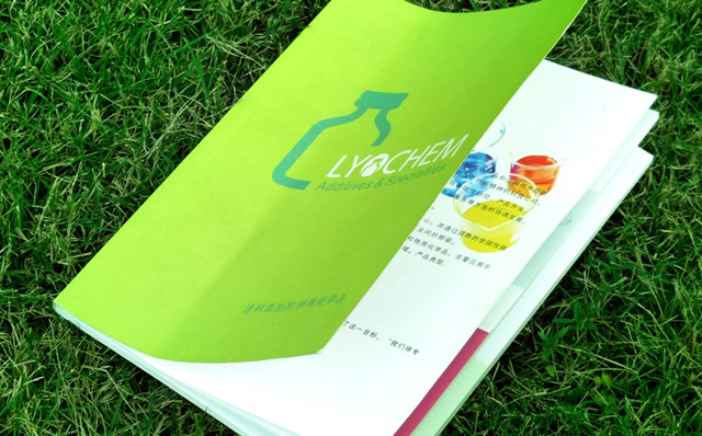 雷升化學(xué)產(chǎn)品型錄手冊