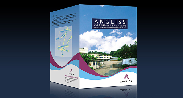 安得利業(yè)務(wù)宣傳畫冊設(shè)計